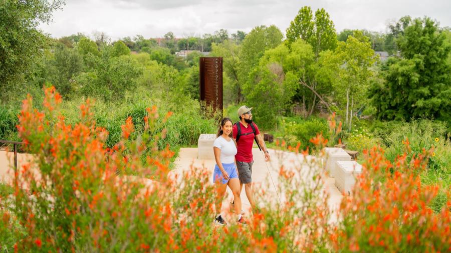 people walking in lush greenery