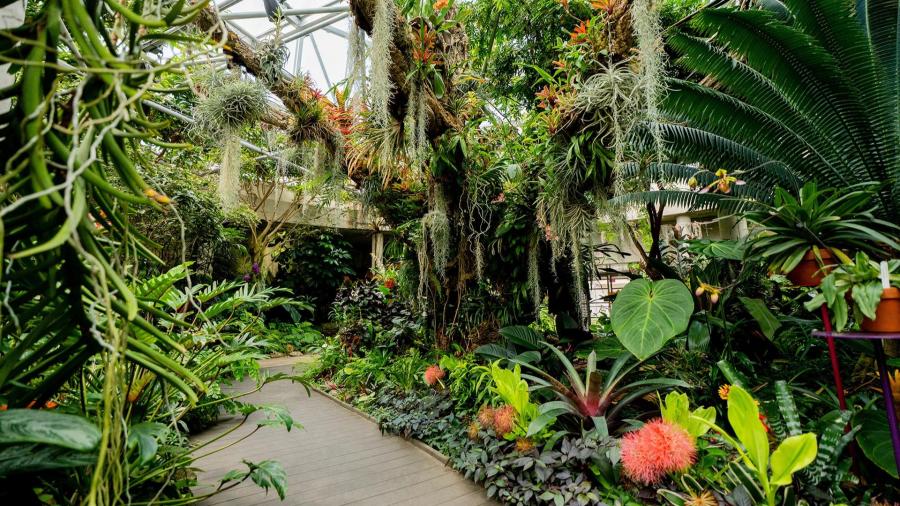 San Antonio Botanical Garden Greenhouse