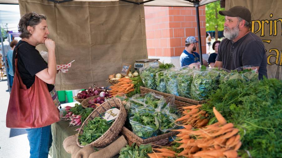 Woman Shopping at Farmers Market