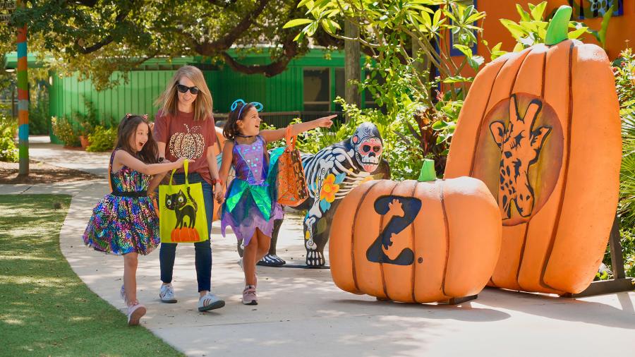 Family at the San Antonio Zoo Halloween event