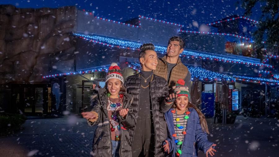 Family laughing with snow falling at Zoo Lights.