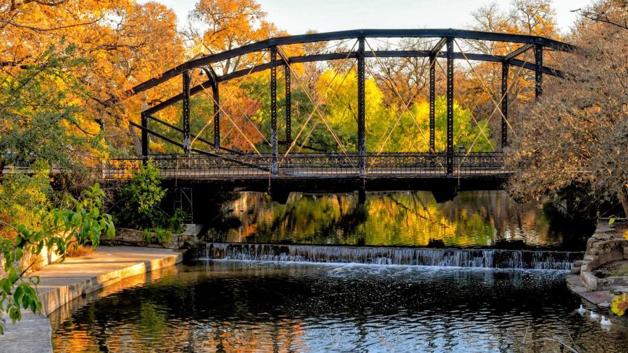 Bridge with foliage at Brackeridge Park in San Antonio.