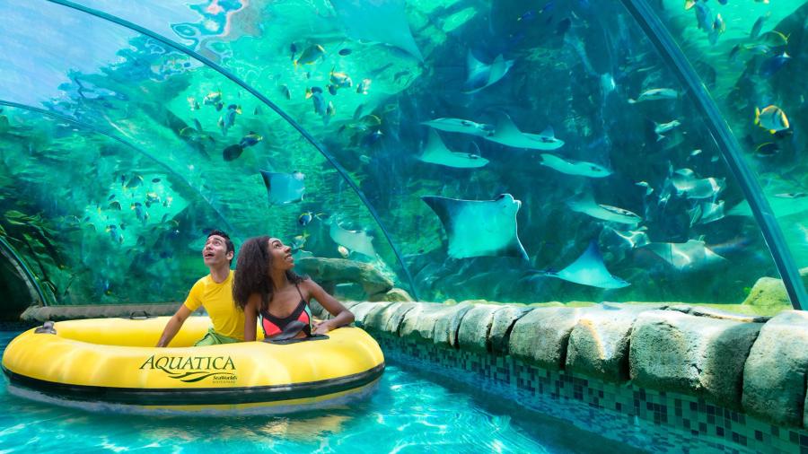 Man and woman in round float drifting through tunnel of stingrays.