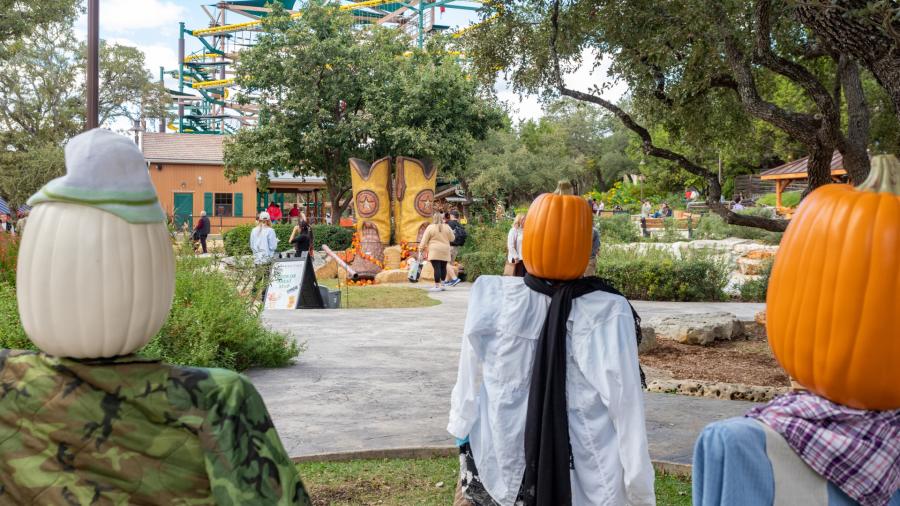 Outdoor decor with pumpkins at Natural Bridge Caverns in San Antonio, Texas