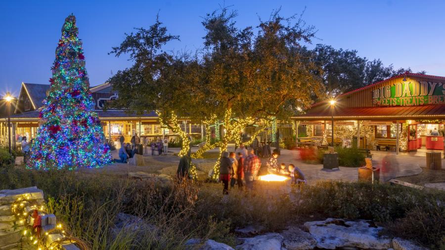 An outdoor Christmas tree lit up with surrounding trees and festive lights.