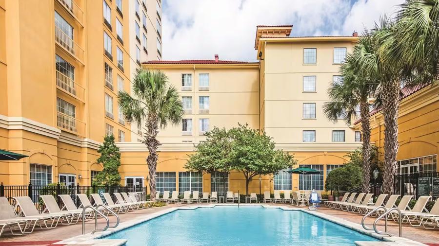 Outdoor hotel pool with lounge seating and palm trees.