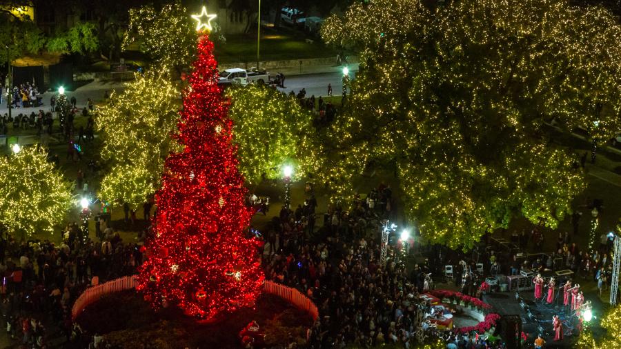 Christmas tree lit up with red lights