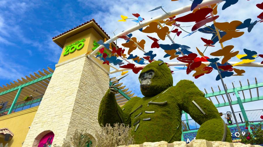Exterior of San Antonio Zoo