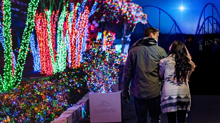 Couple walking side by side next to trees lit with holiday lights