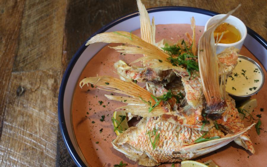 Overhead view of fish dish