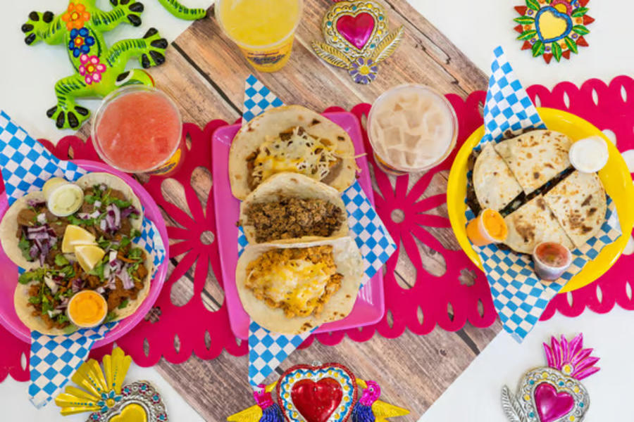 food spread of vegan food from plantaqueria