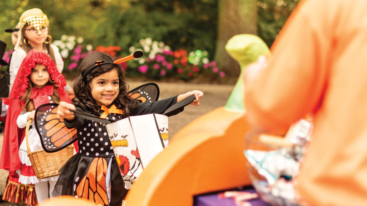 Girl dressed as monarch butterfly for Halloween holding out candy bag at SeaWorld San Antonio