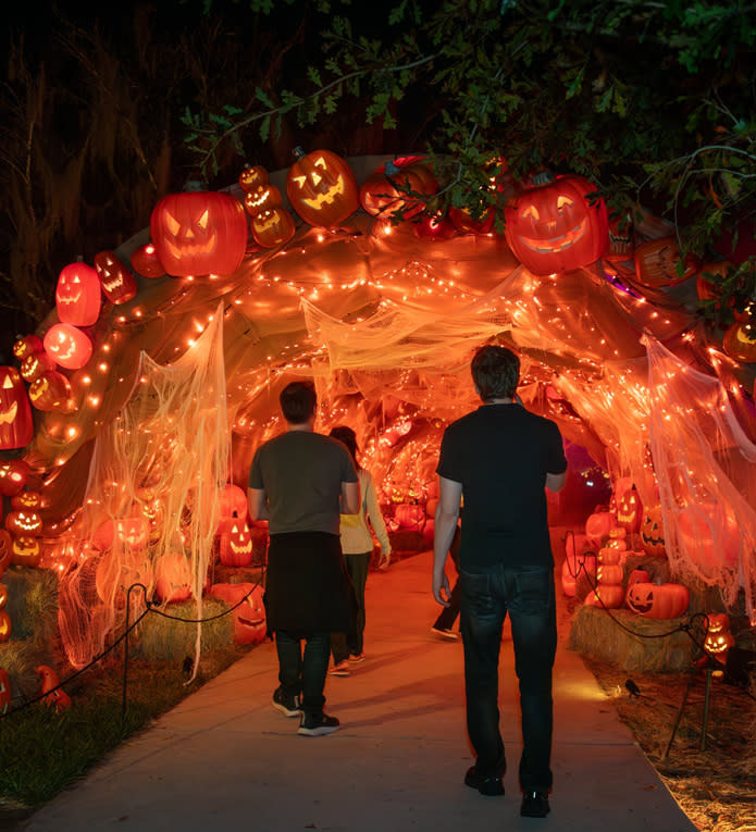 People walking into cave of jack-o-lanterns