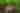 Smoky Mountain Outdoors Unlimited