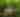 Smoky Mountain Outdoors Unlimited