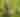 Nantahala Outdoor Center - Mountain Biking