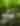 Smoky Mountain Outdoors Unlimited
