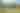 Cataloochee Valley Elk