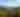 a mountainside filled with colorful trees