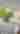 Bryson City Hotels