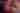 Cuisine Types Pasqualinos Erin Adams