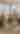 Bryson City Bed and Breakfast Inns