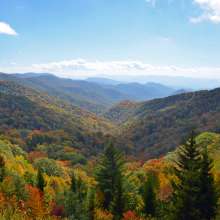 a mountainside filled with colorful trees