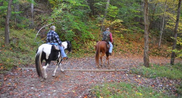 Horseback Riding