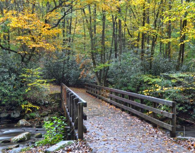 Kephart Prong Trailhead