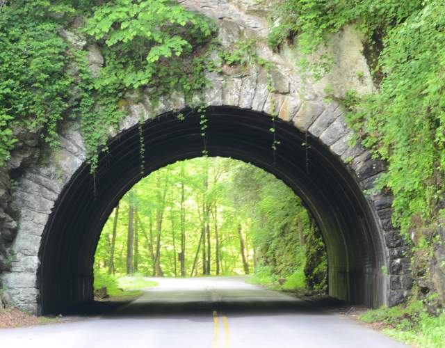 Little River Road - Tunnel