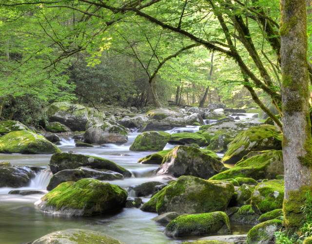 Creeks and Streams