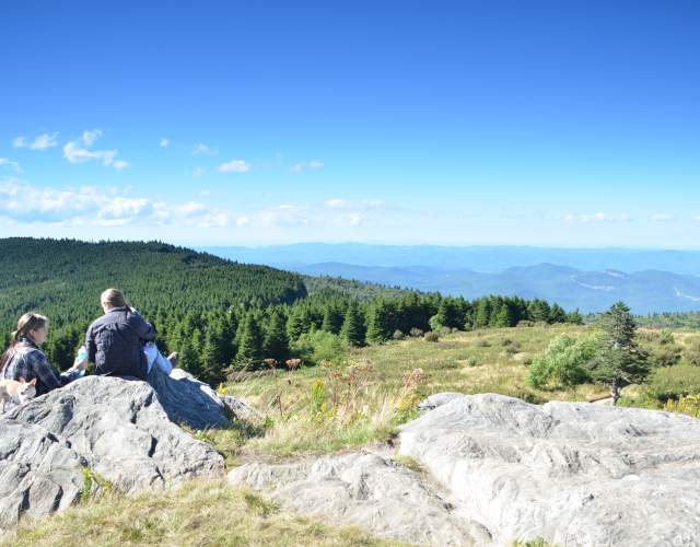 Black Balsam Hiking Trail