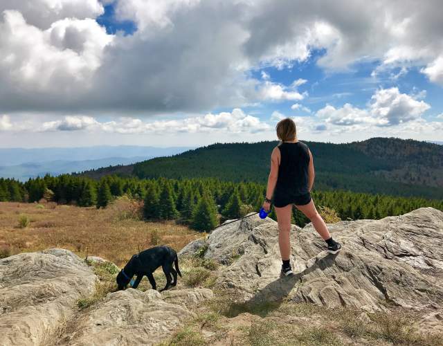 Pet Friendly Activities for You and Your Pet
