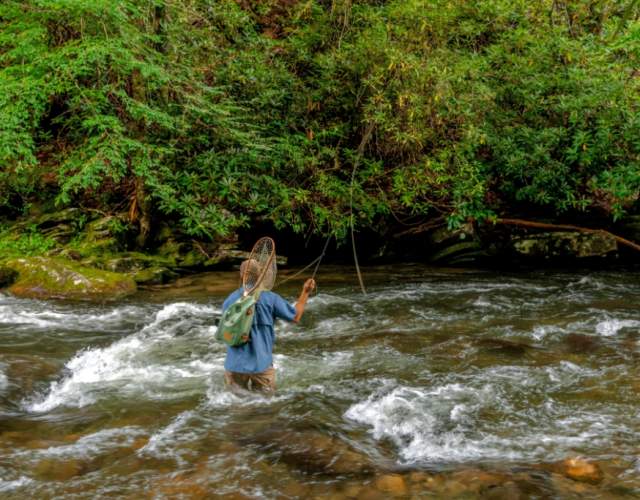 Deep Creek Fishing