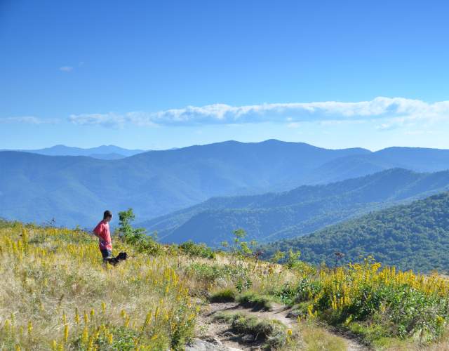 Black Balsam Hiking