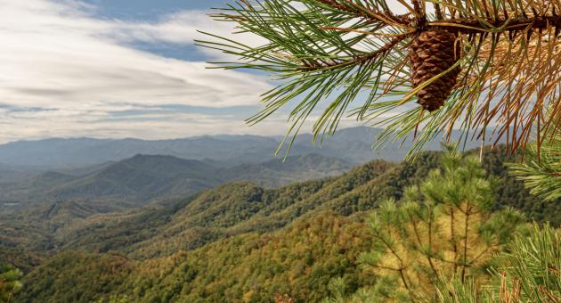 Lonesome Pine Overlook