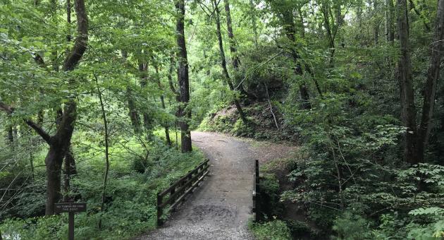 Deep Creek Trail