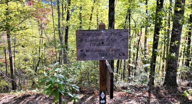 LAKESHORE TRAIL