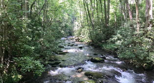 Noland Creek to Spring House Junction