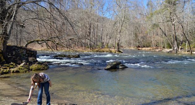 Pet Friendly Hike Oconaluftee River Trail