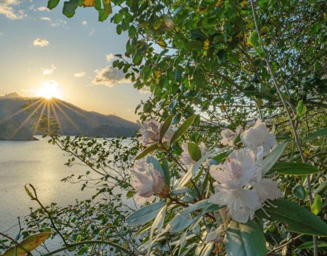 Spring at Fontana Lake