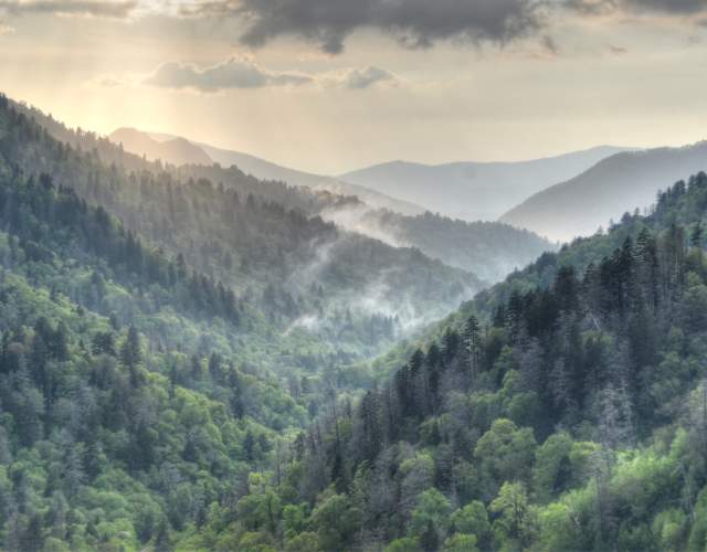Mountain Scene with Fog