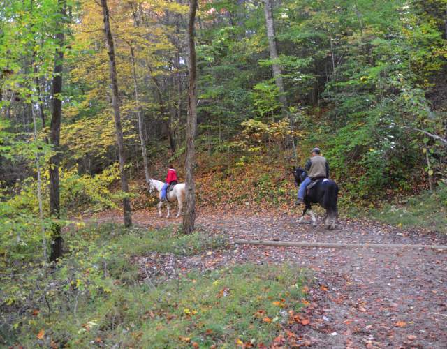 Horseback Riding