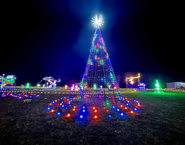 Drive Through Light Show Christmas Tree