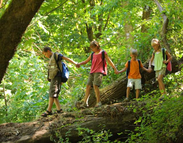Youth Adventure Camps