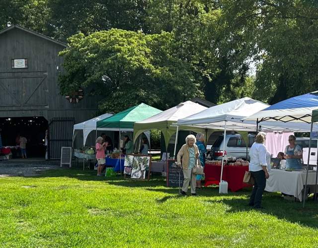 Farmers Market Sunny