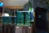 Aquarium Mountain Stream