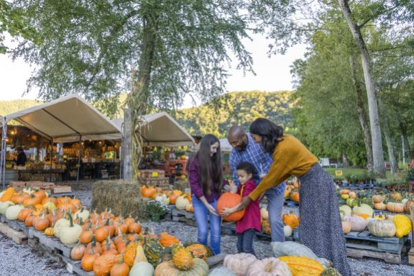 Pumpkins Fall Darnell Farms