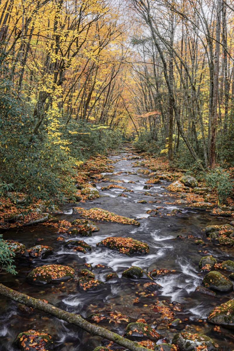 kephart Prong TrailHead