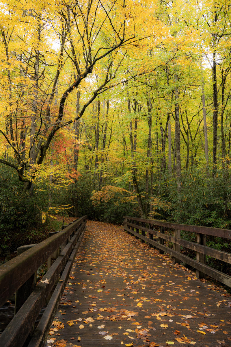 Kephart Prong Trailhead